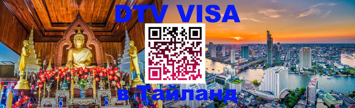 Оформление DTV визы под ключ: стоимость и тарифы, только загранпаспорт - 